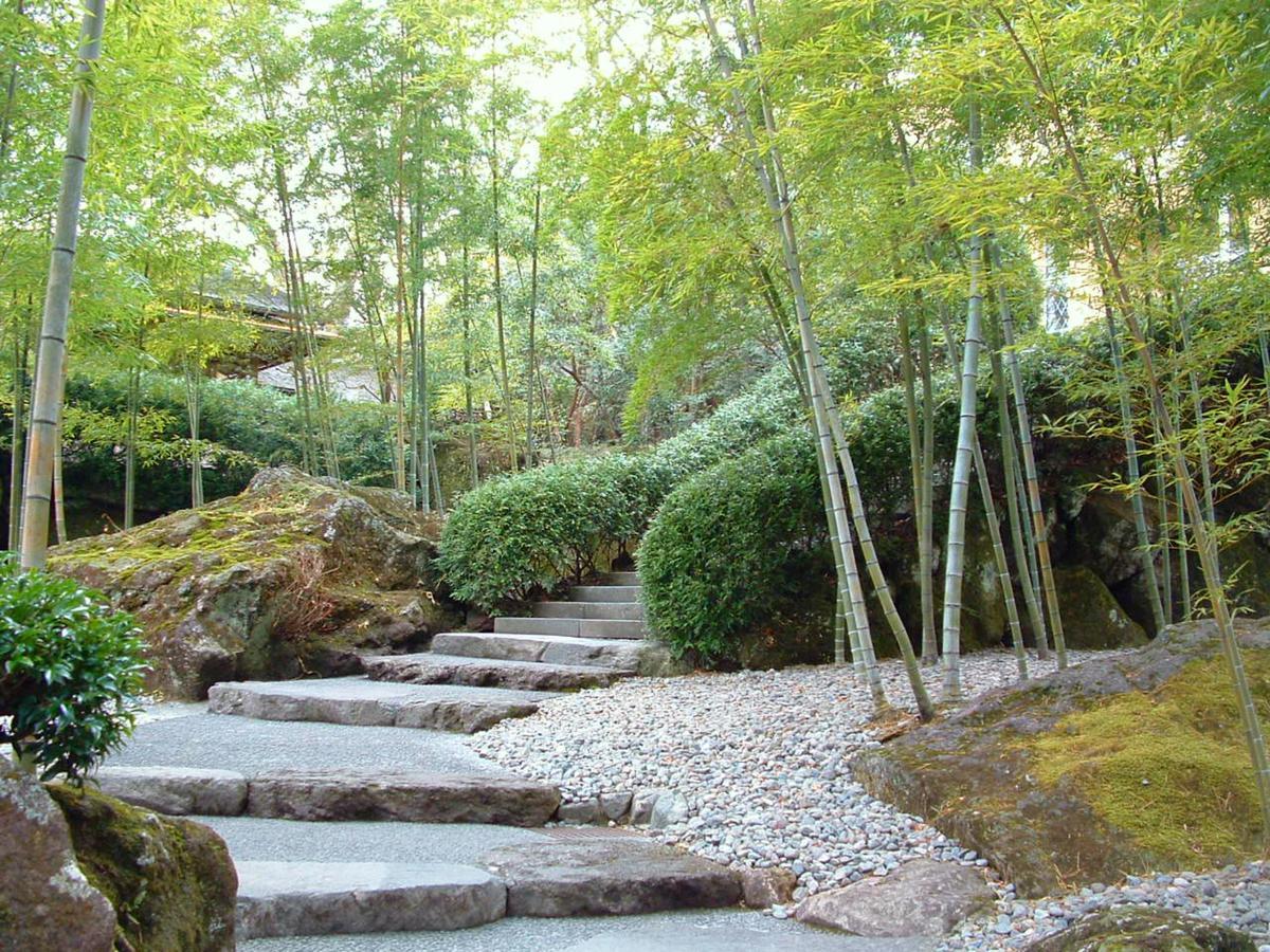 Tkp Lectore Hakone Gora Zewnętrze zdjęcie
