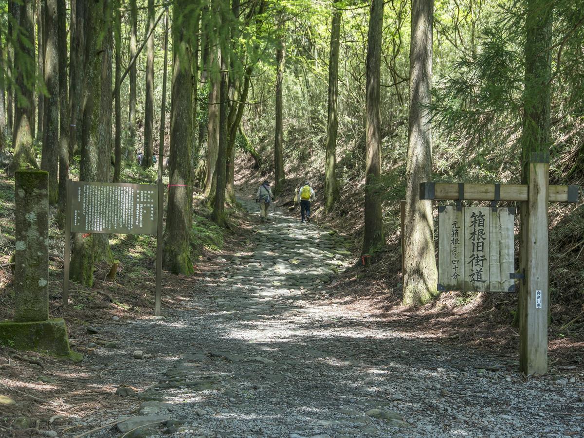 Tkp Lectore Hakone Gora Zewnętrze zdjęcie